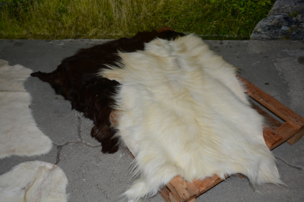 Langhaar Ziegenfell Creme-Weiß (öko)